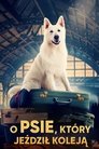 Смотреть Лампо. Невероятное путешествие на HDrezka онлайн в HD качестве 720p
