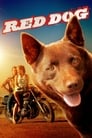 Смотреть Рыжий пес на HDrezka онлайн в HD качестве 720p