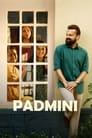 Смотреть Падмини на HDrezka онлайн в HD качестве 720p