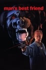 Смотреть Лучший друг человека на хдрезка онлайн в HD качестве 720p