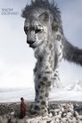 Смотреть Снежный барс на хдрезка онлайн в HD качестве 720p