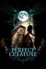 Смотреть Идеальное создание на хдрезка онлайн в HD качестве 720p