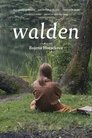 Смотреть Вальден на HDrezka онлайн в HD качестве 720p
