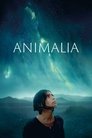 Смотреть Анималия на HDrezka онлайн в HD качестве 720p
