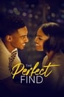 Смотреть Идеальная находка на хдрезка онлайн в HD качестве 720p