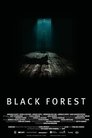 Смотреть Черный лес на хдрезка онлайн в HD качестве 720p