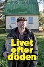 Смотреть Жизнь после смерти на HDrezka онлайн в HD качестве 720p