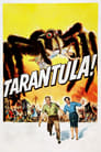 Смотреть Тарантул на хдрезка онлайн в HD качестве 720p
