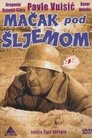 Смотреть Кот под шлемом на хдрезка онлайн в HD качестве 720p