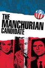 Смотреть Маньчжурский кандидат на HDrezka онлайн в HD качестве 720p