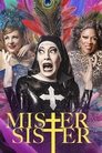 Смотреть Мистер Систер онлайн в HD качестве 720p