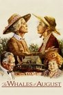 Смотреть Августовские киты на хдрезка онлайн в HD качестве 720p