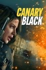 Смотреть Досье «Чёрная канарейка» на хдрезка онлайн в HD качестве 720p
