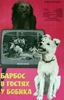 Смотреть Барбос в гостях у Бобика на HDrezka онлайн в HD качестве 720p