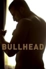 Смотреть Бычара на хдрезка онлайн в HD качестве 720p