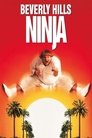 Смотреть Ниндзя из Беверли Хиллз на хдрезка онлайн в HD качестве 720p