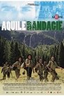 Смотреть Бродячие орлы на хдрезка онлайн в HD качестве 720p