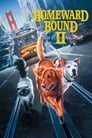 Смотреть Дорога домой 2: Затерянные в Сан-Франциско на HDrezka онлайн в HD качестве 720p