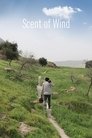 Смотреть Запах ветра на HDrezka онлайн в HD качестве 720p