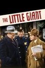 Смотреть Маленький великан на хдрезка онлайн в HD качестве 720p
