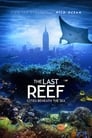 Смотреть Последний риф 3D на хдрезка онлайн в HD качестве 720p