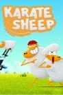 Смотреть Барашек-каратист на хдрезка онлайн в HD качестве 720p