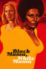 Смотреть Черная мама, белая мама на хдрезка онлайн в HD качестве 720p