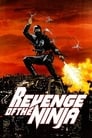 Смотреть Месть ниндзя на хдрезка онлайн в HD качестве 720p