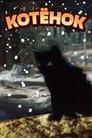 Смотреть Котёнок на хдрезка онлайн в HD качестве 720p