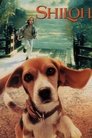 Смотреть Мой лучший друг Шейлок на хдрезка онлайн в HD качестве 720p