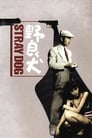 Смотреть Бездомный пес на хдрезка онлайн в HD качестве 720p