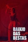 Смотреть Стая зверей на хдрезка онлайн в HD качестве 720p
