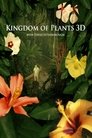 Смотреть В королевстве растений на HDrezka онлайн в HD качестве 720p