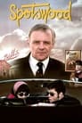Смотреть Эксперт на HDrezka онлайн в HD качестве 720p