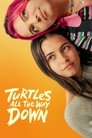 Смотреть Черепахи – и нет им конца на хдрезка онлайн в HD качестве 720p