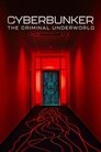 Смотреть Кибербункер: Даркнет в Германии на HDrezka онлайн в HD качестве 720p