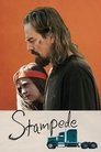 Смотреть Родео онлайн в HD качестве 