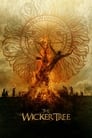 Смотреть Плетеное дерево на хдрезка онлайн в HD качестве 720p
