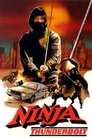 Смотреть Удар молнии ниндзя на HDrezka онлайн в HD качестве 720p