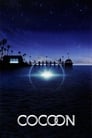 Смотреть Кокон на HDrezka онлайн в HD качестве 720p