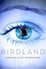 Смотреть Земля птиц на хдрезка онлайн в HD качестве 720p