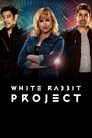 Смотреть Проект Белый кролик на хдрезка онлайн в HD качестве 720p