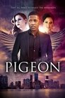 Смотреть Голубь на хдрезка онлайн в HD качестве 720p