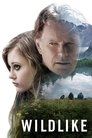 Смотреть Дикость на хдрезка онлайн в HD качестве 720p