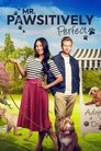 Смотреть Мистер Лапочка на хдрезка онлайн в HD качестве 720p
