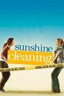 Смотреть Чистка до блеска на хдрезка онлайн в HD качестве 720p