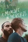 Смотреть Мгновение в камышах на хдрезка онлайн в HD качестве 720p